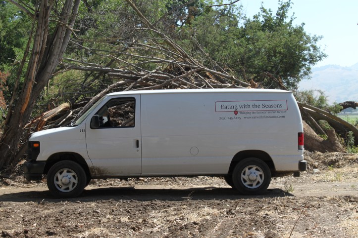 Eating with the Seasons - that's my CSA
